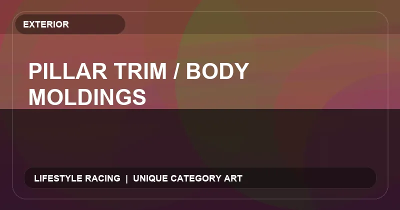 Pillar Trim / Body Moldings
